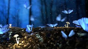 Como todo inseto, borboletas e mariposas têm o corpo dividido em três partes: Sonhar Com Borboleta Amarela Azul Preta Branca O Que Significa