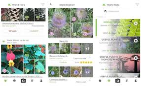 The app is a plant encyclopedia that recognizes over 10,000 different types of plants. 9 Best Plant Identification Apps For Android And Ios 2021 Regendus