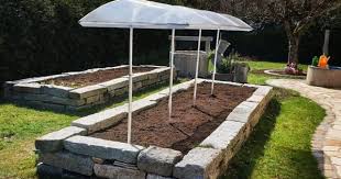 Testbericht Und Montageanleitung Uber Das Beckmann Schutzdach Fur Pflanzen Abenteuer Im Garten Schutzdach Gartengestaltung Pflanzen Kaufen