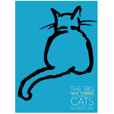 Don't be fooled by their name! The Top 3 Cat Books I Need Right Meow The Small World