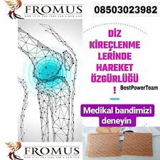 Fromus Network Dogal Saglik Bantlari Onlinekazanc Ekkazanc Kazanc Kariyer Ekgelir Is Firsat Kampanya Saglikliyasam Fibromiyalji Dogal Saglik Saglik