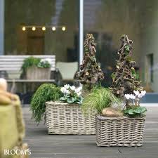 Design Bloom S Deko Ideen Mit Blumen Und Pflanzen Naturliche Dekoration Weihnachtsblumen Winterdekorationen