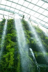 Gardens By The Bay سنغافورة