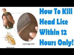 Pin On Health And Diet