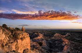 The landscaping services industry in the united states is comprised of companies which provide landscape maintenance, lawn care (including chemical application), landscape design and. Explore Usa Top 10 Wildly Different Landscapes In The Usa