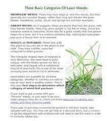 Pin By Tiffany Hymas On Diy Notes Menterest Weeds In Lawn Grass Blade Grass