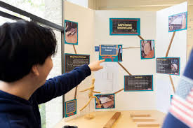 Students' Curiosity and Talents