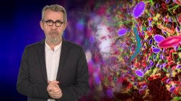 Au tour de michel cymes de faire les frais de rumeurs incommodantes. Les Pouvoirs Extraordinaires Du Corps Humain Replay Et Videos En Streaming France Tv