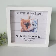 Pet Memorial Picture Frame, Guinea Pig Memorial, Cat Memorial, Guinea Pig  Picture Frame, Loss of Guinea Pig Gift Memorial