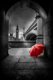 Black And White With Pop Of Color Art Australia Pin By Mary Peterson On Red In 2020 Color Splash Photography Black And White Pictures Splash Photography