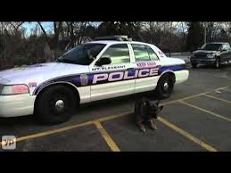 Visit for pets sake veterinary clinic in sturtevant! For Pets Sake Veterinary Clinic Sturtevant Wi Youtube