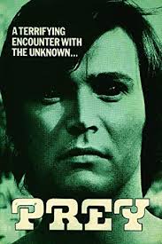 The Aliens are eating the pets