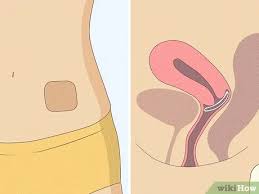 Check spelling or type a new query. How To Increase Estrogen 14 Steps With Pictures Wikihow