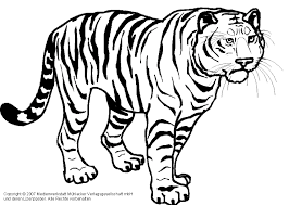 Malvorlagen Von Tiger Ausmalbilder Tiger Kostenlos Malvorlagen Zum Ausdrucken Vorlagen