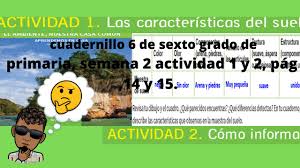 Es por esto, que el ministerio de educación junto a otras organizaciones como la agencia de los estados unidos para el desarrollo internacional (usaid) y el fondo de las naciones unidas para la infancia (unicef) ponen a tu disposición este quinto cuadernillo con un plan de actividades para que continúes tus Cuadernillo 6 De Sexto Grado De Primaria Semana 2 Actividad 1 Y 2 Pag 14 Y 15 Youtube
