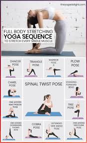 Full Body Stretching Yoga Sequence To Stretch Every Muscle In Your Body The Yoga Delight Body Delight Ev Yoga Sequences Easy Yoga Workouts Easy Yoga Poses