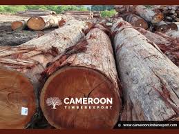 Cameroontimberexport Is One Of The Leading Wood Wholesale Exporters Suppliers In Cameroon We Offer A Wide Range Of Wood Species And Export Services Call