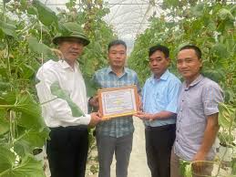 Trao giấy chứng nhận VIETGAP cho nhà vườn "T-H-FARM" thuộc HTX dich vụ NN  NT xã Tây Thành huyện Yên Thành