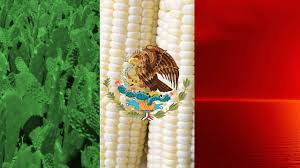 Get your mexico flag in a jpg, png, gif or psd file. Mexican Flag 7 Hd Mexican Wallpapers Hd Wallpapers Id 37613