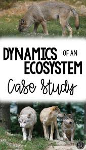 5 Biotic Factors In The Ocean Ecology And Interdependence Of Organisms Activity In 2020 Life Science Activities Science Writing Activities Middle School Science Activities