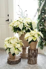 Bentonville, ar town in arkansas detailed profile, population and facts. Blog Rogers Bentonville Ar Rose Of Sharon Floral Design Studio