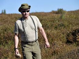 Putin and defense minister sergey shoygu are in a small wooden house in the middle of nowhere, with shoygu holding a small piece of wood and the president looking on. Bear In Mind Even Bears Respect Putin Says New Russian Tv Show The Economic Times