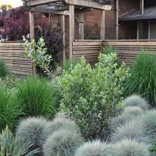 Pin On Garden