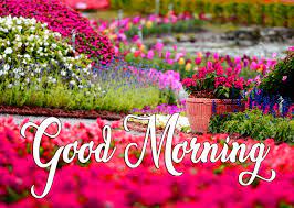 Beautiful Flowers Garden Good Morning Wishes