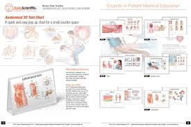 anatomical 3d desktop tent chart body scientific