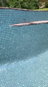 Maybe you would like to learn more about one of these? Adelaide Pool Solutions Home Facebook