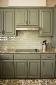 Kitchen Cabinet Paint Color Other Than White Green Kitchen Cabinets Painted Kitchen Cabinets Colors Kitchen Cabinets Before And After