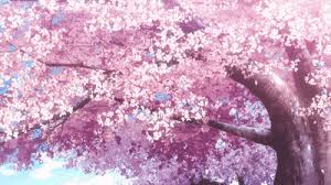 Discover more posts about sakura trees. Best Sakura Tree Gifs Gfycat