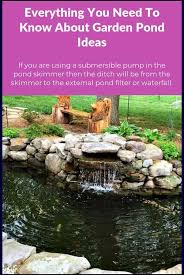 Want To Become A Great Pond Gardener Read These Pointers