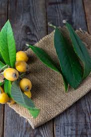 Herbacil Loquat & Guava Leaves Tea - Case - 6 Units | Mexmax