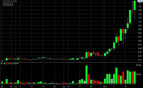 deep dive into cannabis stock sunset island group reveals