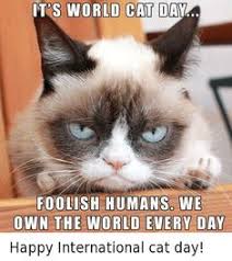 In january, the whole world watched as the bushfires raged across australia, burning 18.6 million hectares of land and killing an estimated to vent their frustrations over 2020 that can basically be thrown away at this point, people created the my plans vs. 10 Best International Cat Day Ideas International Cat Day Cat Day Cats