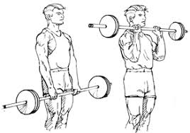 In the '90s at gold's gym venice,cormier was known as much for his strength as his physique—and that's saying a lot. The Massive Muscle Anatomy And Body Building Guide You Always Wanted Thehealthsite Com