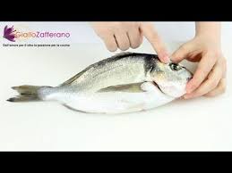 Maybe you would like to learn more about one of these? Scuola Di Cucina Come Pulire E Sfilettare Un Pesce Tondo Youtube