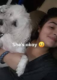 Missing from Council Bluffs 35th St. and 13th Ave. across from Tisha's  restaurant headed towards Omaha.