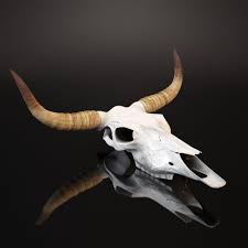 3d Model Cow Skull Cow Skull Bull Skulls Bull