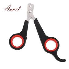 These pet products can be purchased at wholesale rates for retail stores or pound stores. Trumpet Bird Nail Scissors Nail Clippers Trimmer Pet Grooming Supplies Buy At A Low Prices On Joom E Commerce Platform