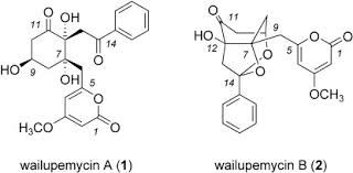 This more than seventeen hundred square feet property contains four bedrooms and two bathrooms. Diastereoselective Reactions At Enantiomerically Pure Sterically Congested Cyclohexanes As An Entry To Wailupemycins A And B Total Synthesis Of Wailupemycin B Kirsch 2005 Chemistry A European Journal Wiley Online Library