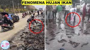 Termasuk beberapa kejadian seperti orang yang pernah mengalami mendekati kematian lebih dari seratus kali, penampakan makhluk aneh, menjadi jenius dalam waktu semalam, dan masih. Kuasa Tuhan Peristiwa Hujan Paling Aneh Di Dunia Ada Di Indonesia Juga Youtube