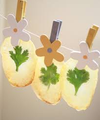 Otro aperitivo sencillo y muy rico son los clásicos canapés de pepino y mouse de salmón que se pueden preparar con multitud de ingredientes. 7 Recetas De Aperitivos Ricos Y Faciles Pequerecetas