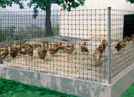 Malla de gallinero 1x10 m - Fernando Santamaría - Empresa de Jardinería en  Cantabria