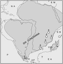 Image result for Mohria lepigera