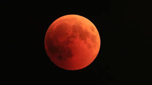 On that day, onlookers on africa's southern tip, antarctica. Total Lunar Eclipse Jupiter Mercury Conjunction In 2021 Wtsp Com