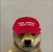 Pin By Bobby On Dogwifhat Dog Wif Hat Dog Wif Hat Pfp Dog With Hat