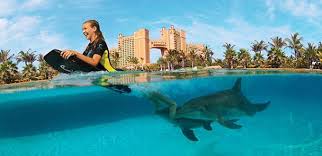 The Experience-Swimming With Dolphins In Atlantis Resort, Bahamas –  Trendyjetsetter101