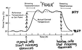 fever dr rajiv desai